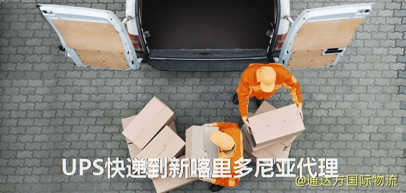 UPS中國到新喀里多尼亞代理,UPS國際快遞到新喀里多尼亞 UPS快遞到新喀里多尼亞代理