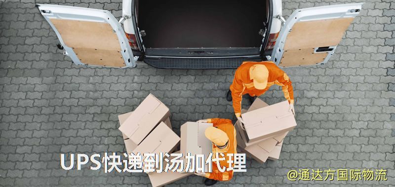 UPS快遞到湯加代理