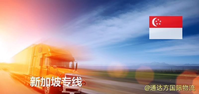 新加坡專線(海/空/鐵加派送) 新加坡專線